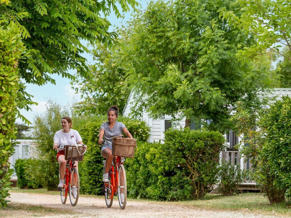 La Plage Poitou-Charentes - Saint-Clément-des-Baleines visuel 12/18 La Plage Poitou-Charentes - Saint-Clément-des-Baleines visuel 12/18