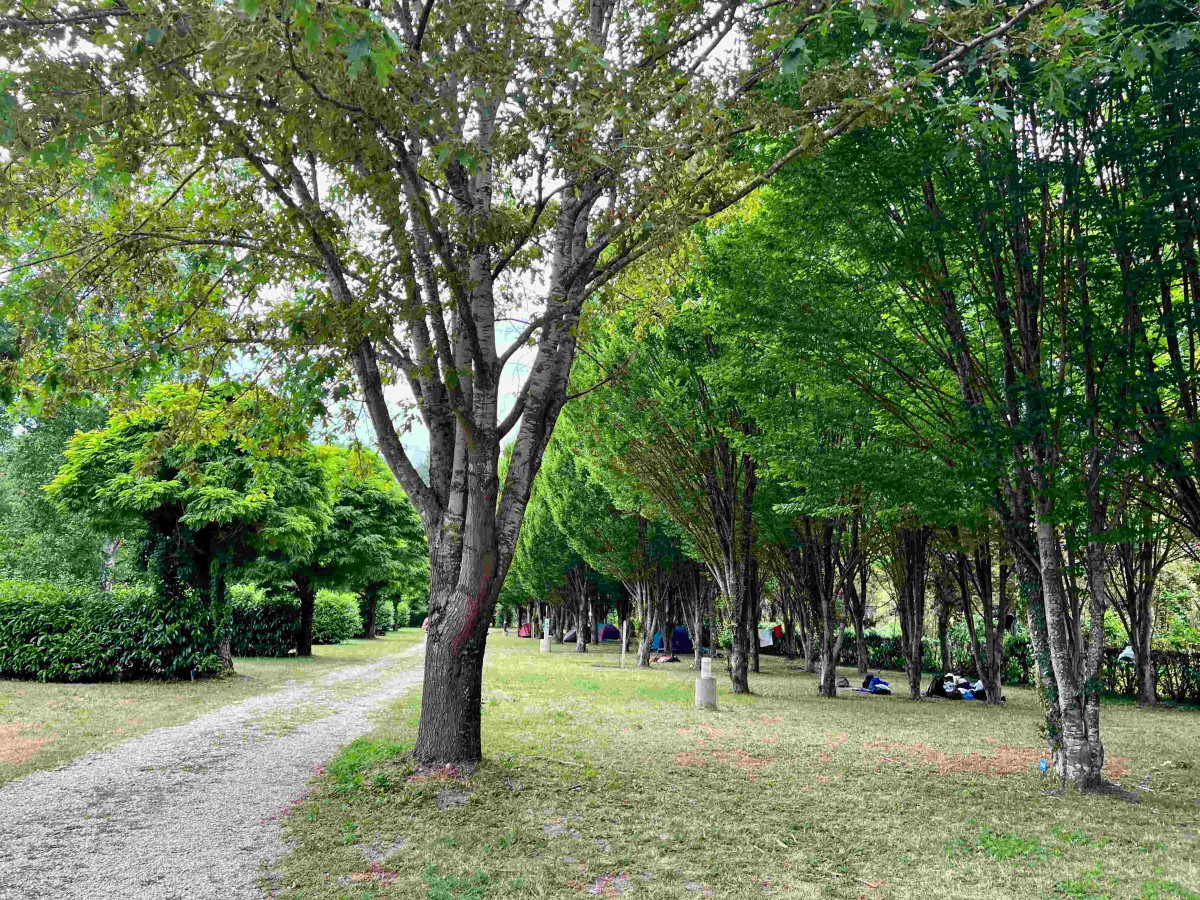 La Rivière Dorée Isla de Francia - null visuel 10/22 La Rivière Dorée Isla de Francia - null visuel 10/22