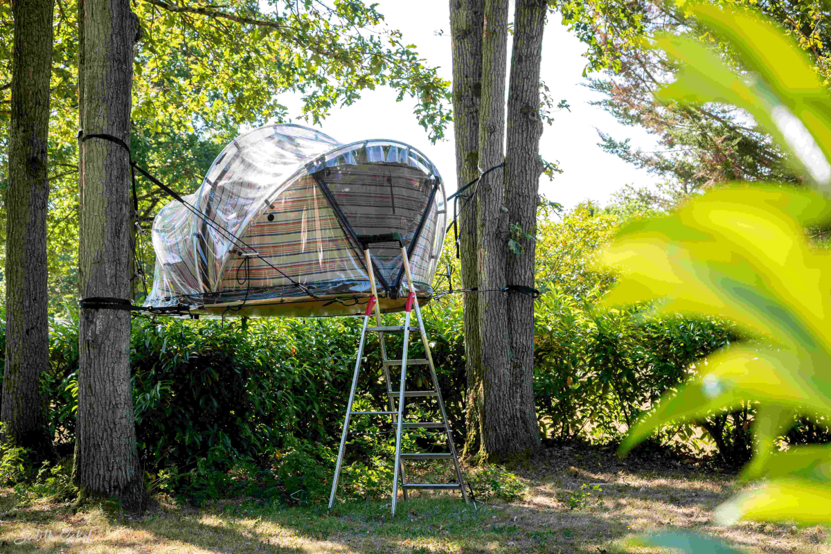 La Rivière Dorée Isla de Francia - null visuel 16/22 La Rivière Dorée Isla de Francia - null visuel 16/22