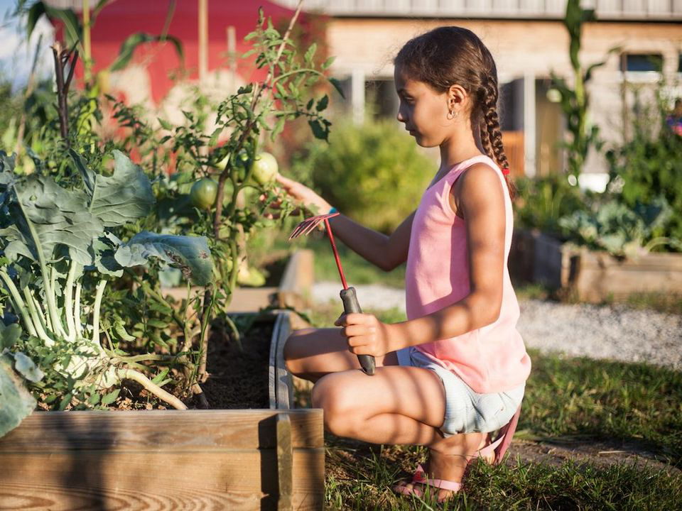 la Roche d'Ully Franco Condado - Ornans visuel 6/7