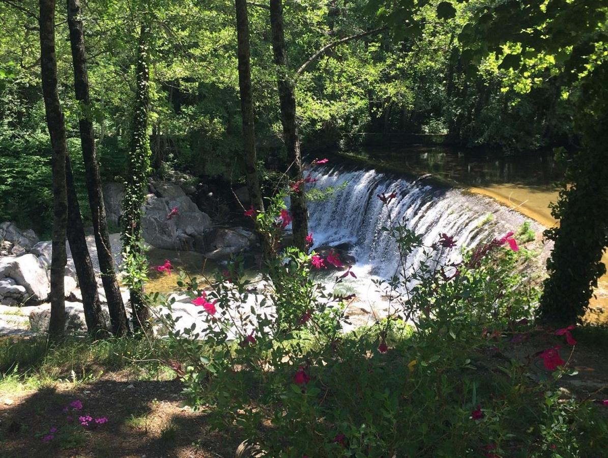 La Salendrinque Languedoc-Rosellón - Lasalle visuel 2/5 La Salendrinque Languedoc-Rosellón - Lasalle visuel 2/5