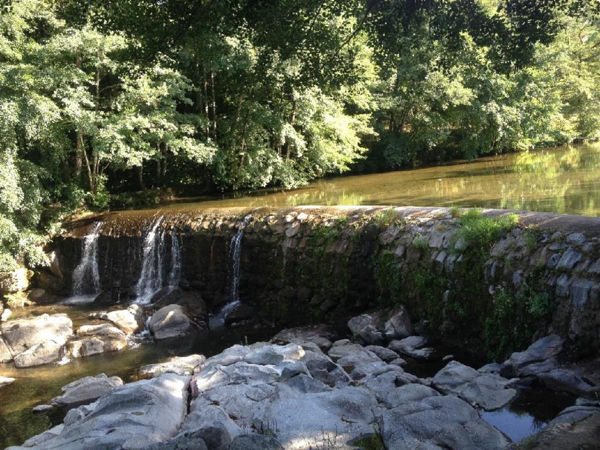 La Salendrinque Languedoc-Rosellón - Lasalle visuel 4/5 La Salendrinque Languedoc-Rosellón - Lasalle visuel 4/5