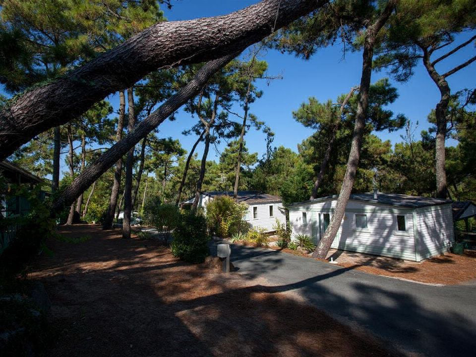 La Siesta Países del Loira - La Faute-sur-Mer visuel 7/9 La Siesta Países del Loira - La Faute-sur-Mer visuel 7/9