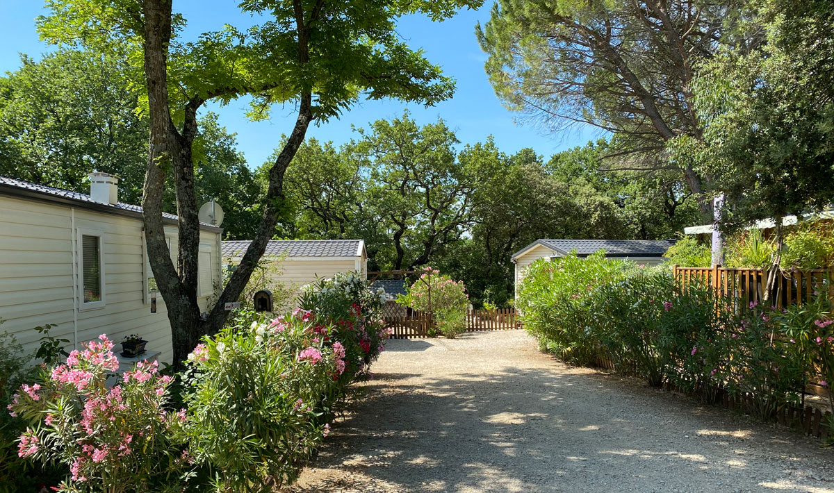 La Vallée de Barry Provenza-Alpes-Costa Azul - Bollène visuel 4/9