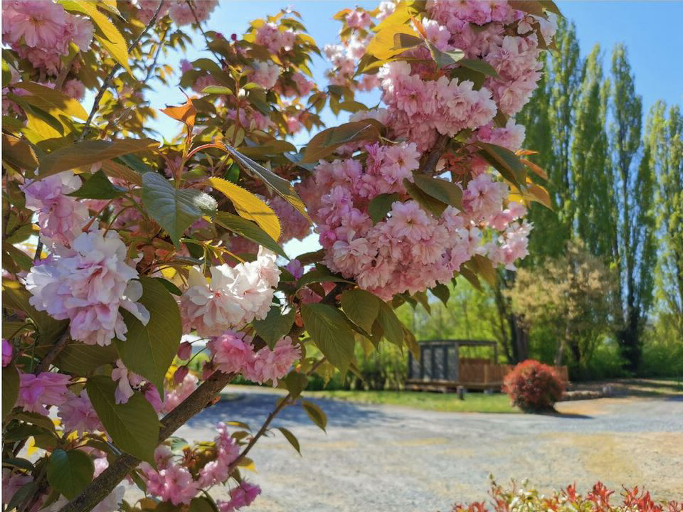 La Vallée de l'Indre centro valle - Montbazon visuel 6/13 La Vallée de l'Indre centro valle - Montbazon visuel 6/13