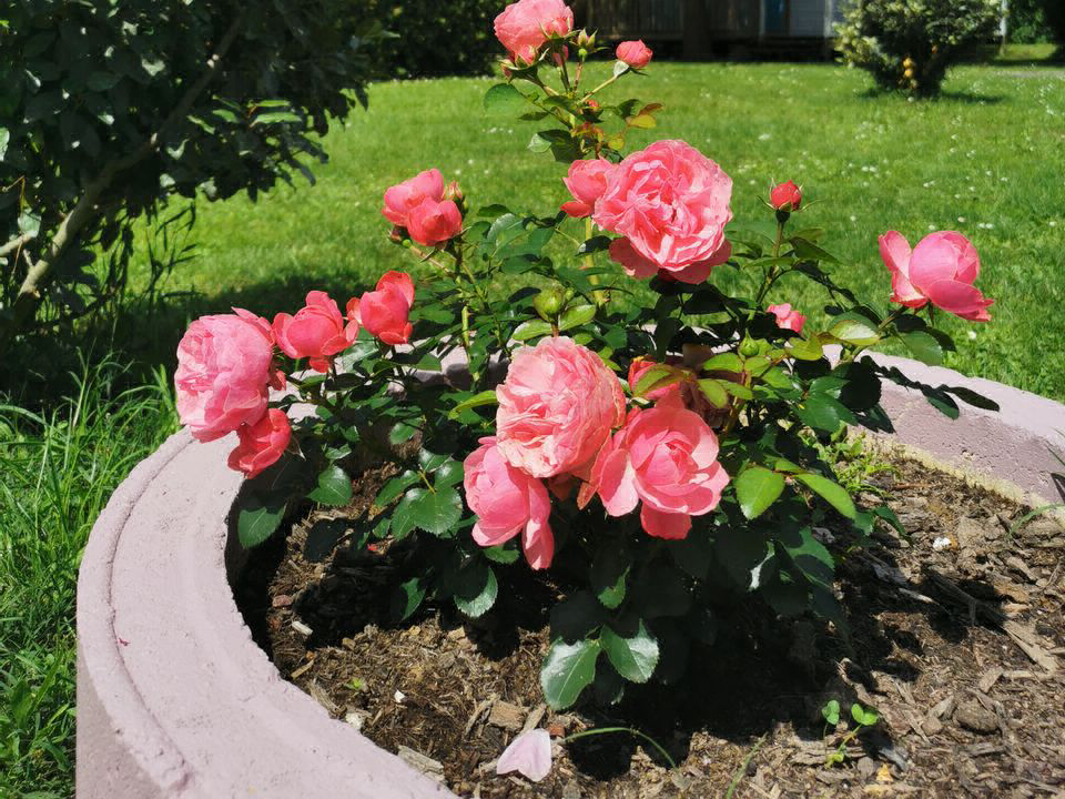 La Vallée de l'Indre centro valle - Montbazon visuel 8/13 La Vallée de l'Indre centro valle - Montbazon visuel 8/13