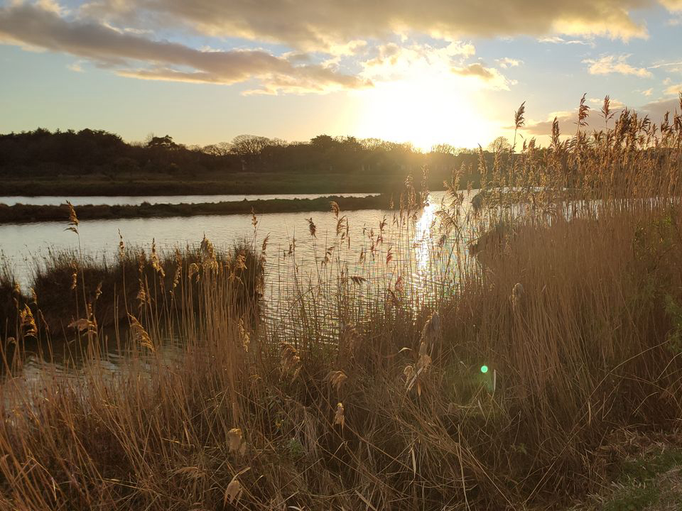 Le Beaupré Países del Loira - Mesquer visuel 1/4 Le Beaupré Países del Loira - Mesquer visuel 1/4