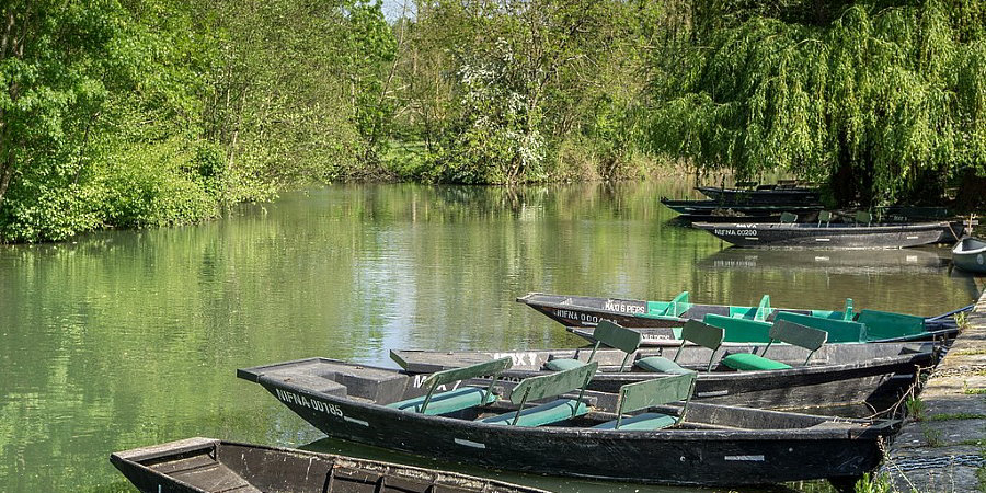 le Bois Dinot Poitou-Charentes - null visuel 5/8