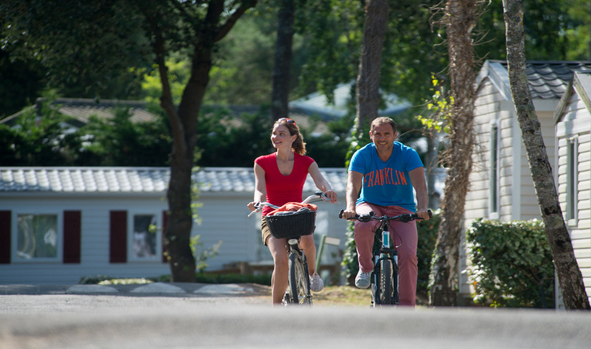 Le Bois Dormant Países del Loira - Saint-Jean-de-Monts visuel 14/20