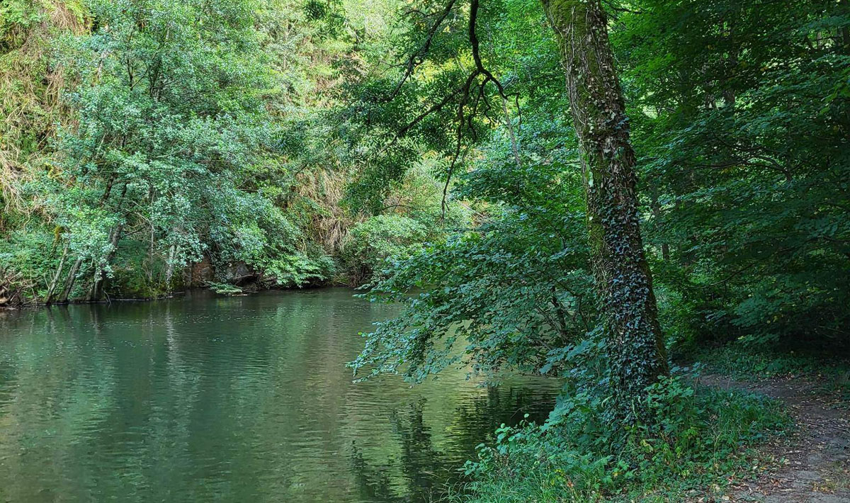 Le Bois Flottant Mediodía-Pirineos - Lacrouzette visuel 5/7 Le Bois Flottant Mediodía-Pirineos - Lacrouzette visuel 5/7