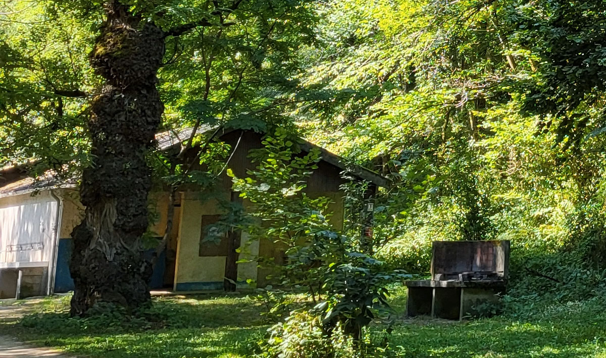 Le Bois Flottant Mediodía-Pirineos - Lacrouzette visuel 2/7 Le Bois Flottant Mediodía-Pirineos - Lacrouzette visuel 2/7