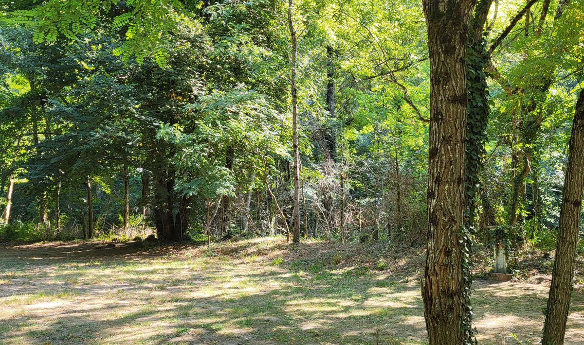 Le Bois Flottant Mediodía-Pirineos - Lacrouzette visuel 3/7 Le Bois Flottant Mediodía-Pirineos - Lacrouzette visuel 3/7