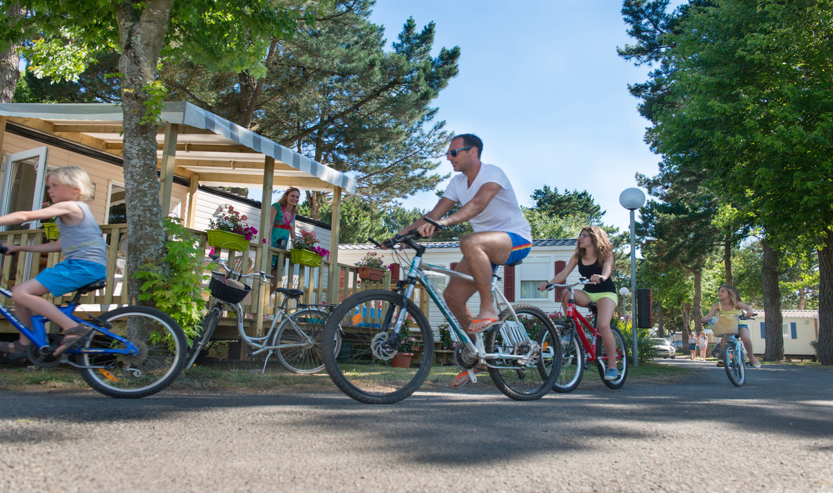 Le Bois Masson Países del Loira - Saint-Jean-de-Monts visuel 11/23