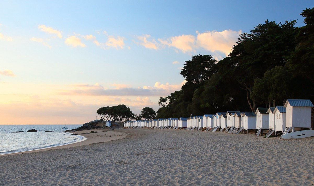 Le Bois Masson Países del Loira - Saint-Jean-de-Monts visuel 20/23