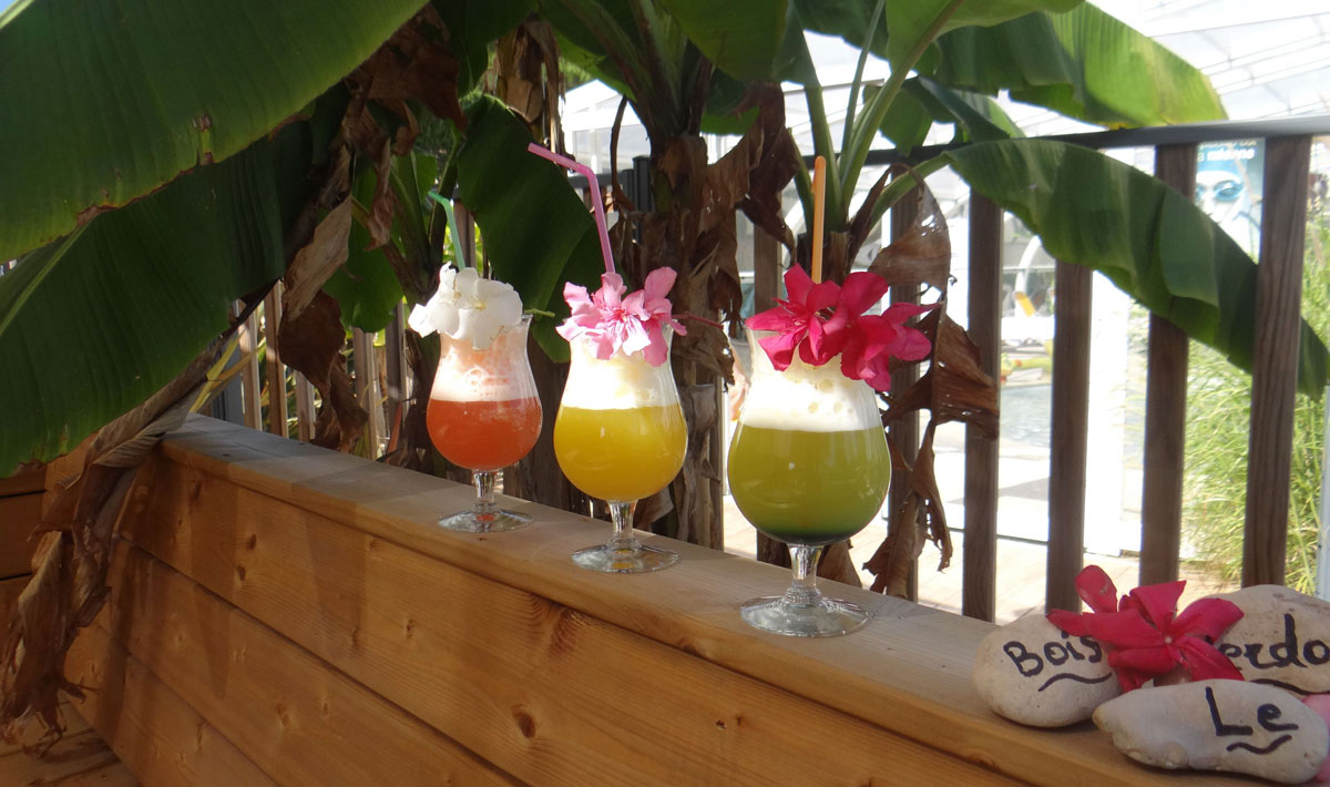 Le Bois Verdon Países del Loira - Saint-Jean-de-Monts visuel 10/20 Le Bois Verdon Países del Loira - Saint-Jean-de-Monts visuel 10/20