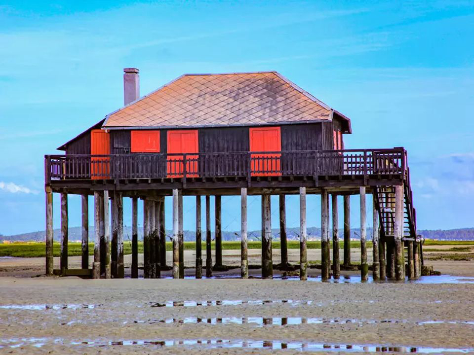 Le Braou Aquitania - Audenge visuel 11/11