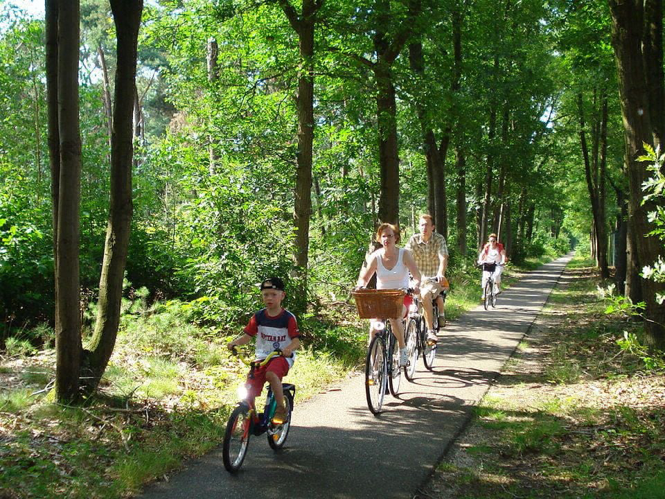 Le Devancon Provenza-Alpes-Costa Azul - Peynier visuel 8/9