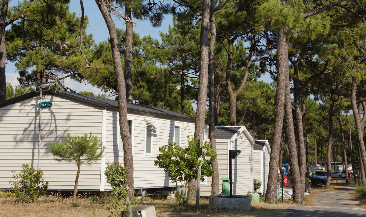 Le Grand Corseau Países del Loira - La Barre-de-Monts visuel 7/8 Le Grand Corseau Países del Loira - La Barre-de-Monts visuel 7/8