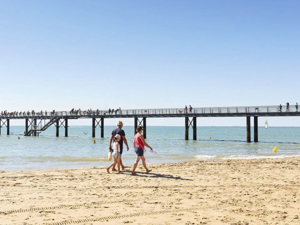Le Grand Pré Países del Loira - La Tranche-sur-Mer visuel 2/11 Le Grand Pré Países del Loira - La Tranche-sur-Mer visuel 2/11