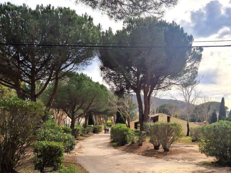 Le Hameau des Pins La moutonne - Provenza-Alpes-Costa Azul - La Crau visuel 6/7