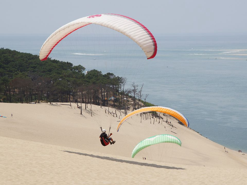 Le Lou Broustaricq Aquitania - Sanguinet visuel 9/13