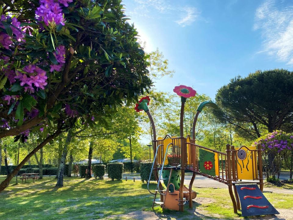 Le Lou Broustaricq Aquitania - Sanguinet visuel 8/13