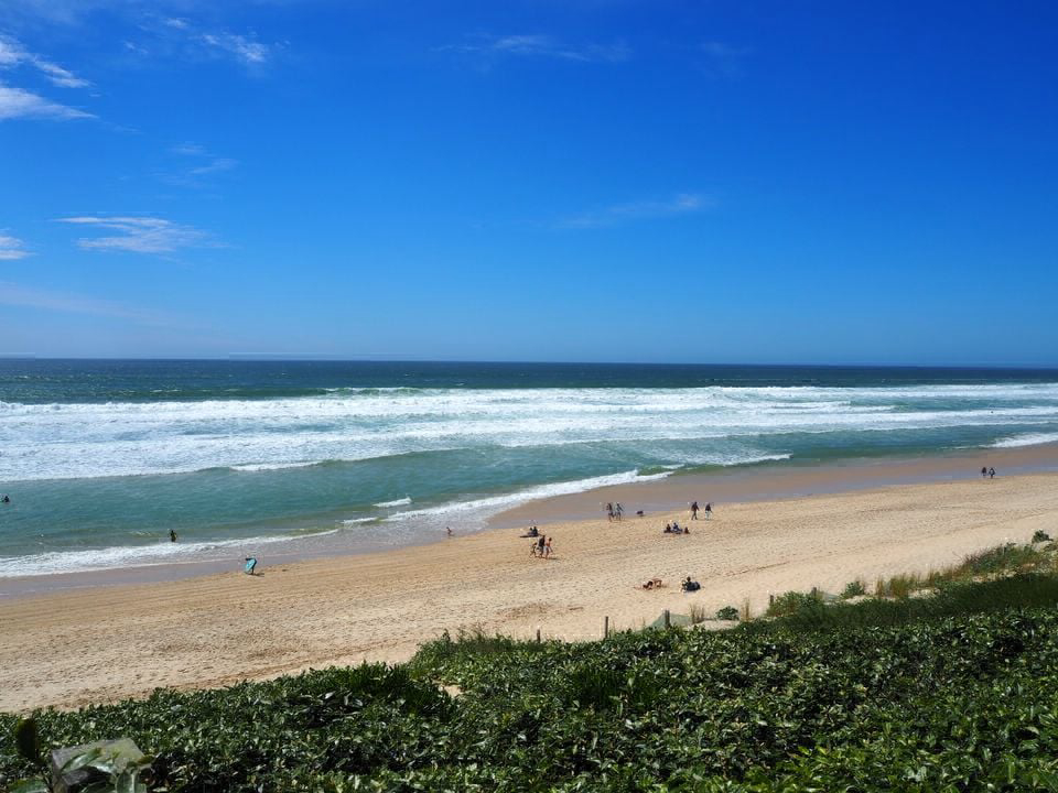 Le Lou Broustaricq Aquitania - Sanguinet visuel 13/13