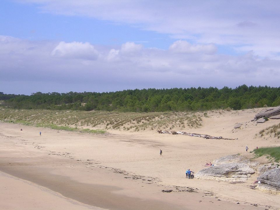 Le Nauzan Plage Poitou-Charentes - Vaux-sur-Mer visuel 9/9