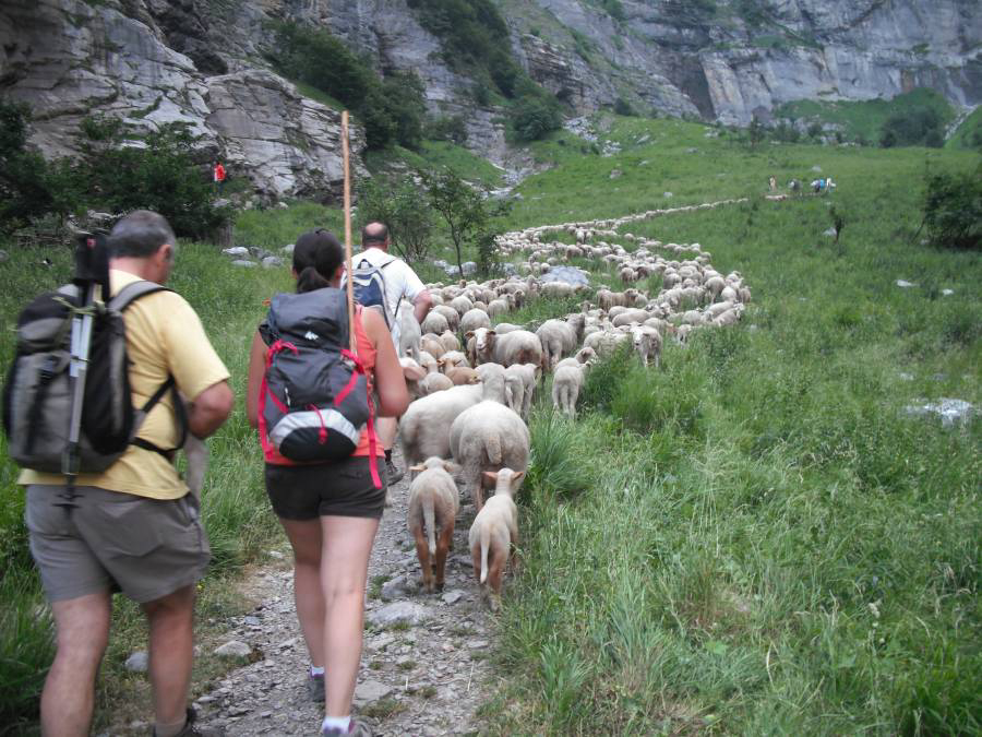 Le Pelly Ródano-Alpes - null visuel 2/3 Le Pelly Ródano-Alpes - null visuel 2/3