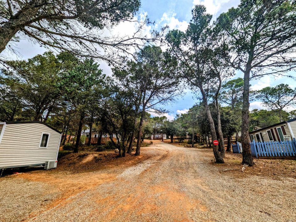 Le Pinada Languedoc-Rosellón - Fabrezan visuel 4/7 Le Pinada Languedoc-Rosellón - Fabrezan visuel 4/7