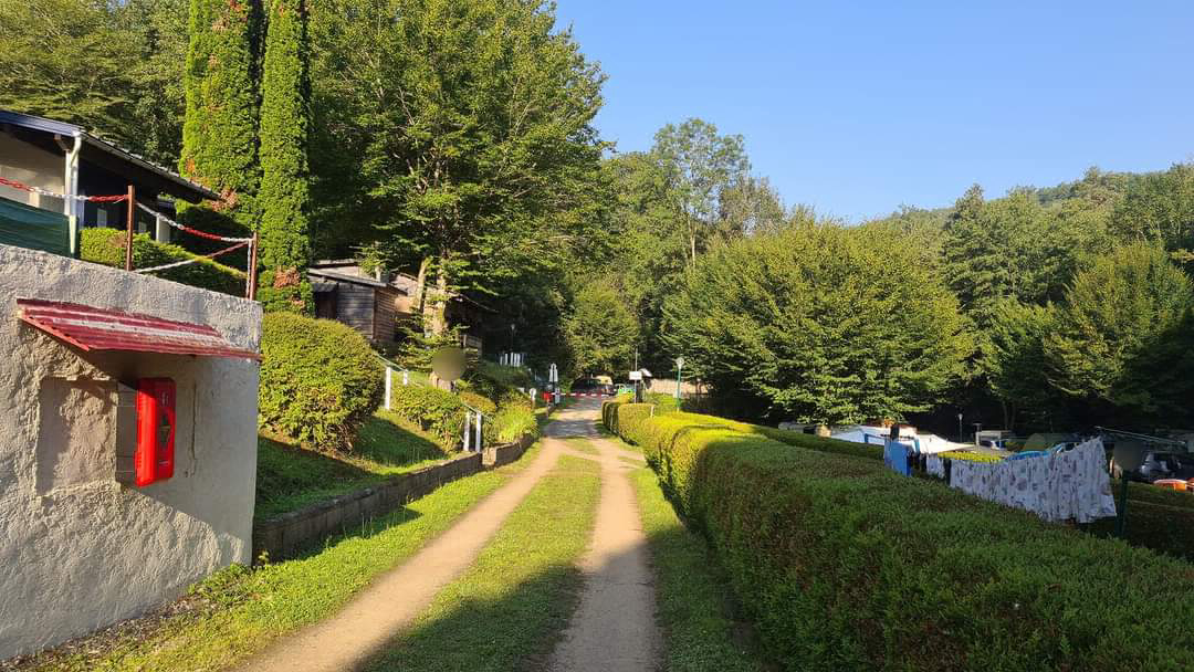 Le Pre Du Moulin Limosín - Laguenne visuel 4/4