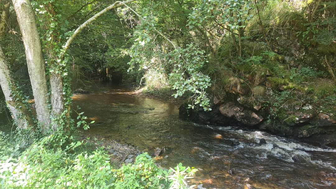 Le Pre Du Moulin Limosín - Laguenne visuel 3/4
