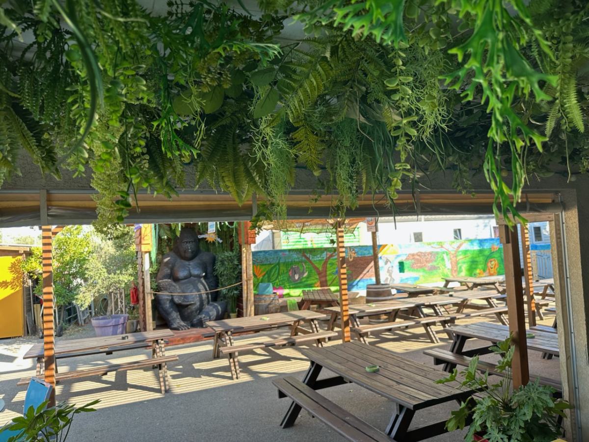 Le Soleil Languedoc-Rosellón - Le Grau-du-Roi visuel 1/2 Le Soleil Languedoc-Rosellón - Le Grau-du-Roi visuel 1/2