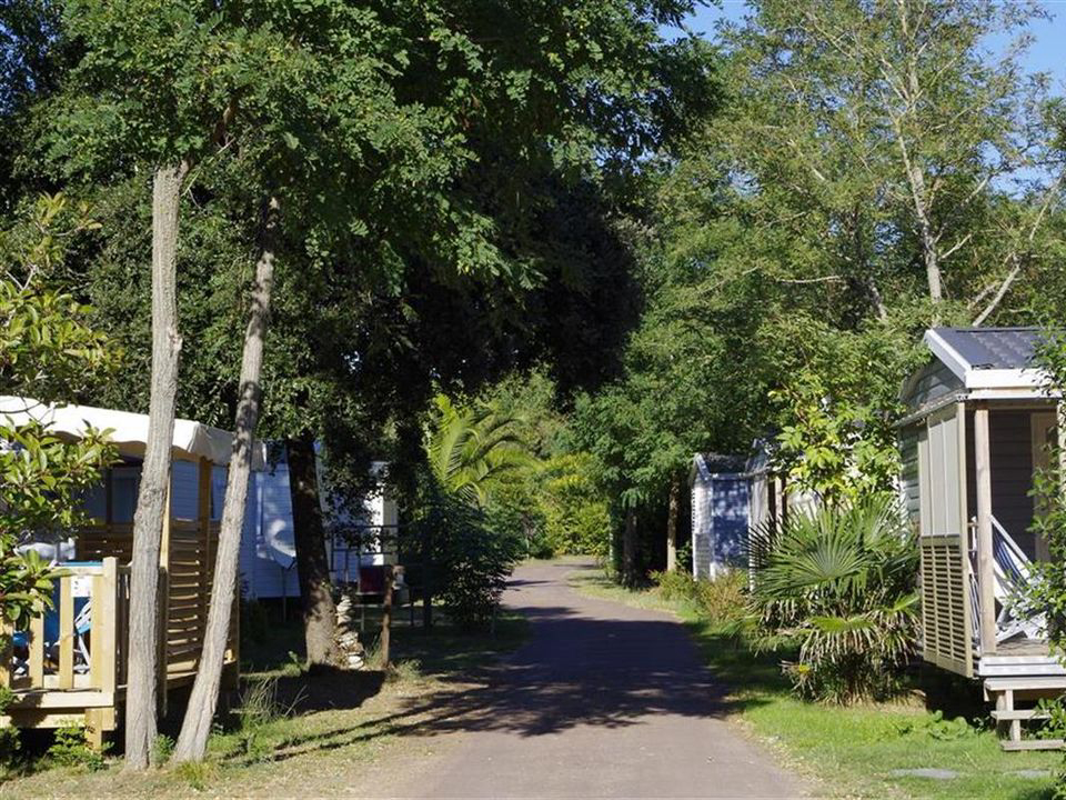 Le Sous Bois Poitou-Charentes - Saint-Pierre-d'Oléron visuel 4/11 Le Sous Bois Poitou-Charentes - Saint-Pierre-d'Oléron visuel 4/11