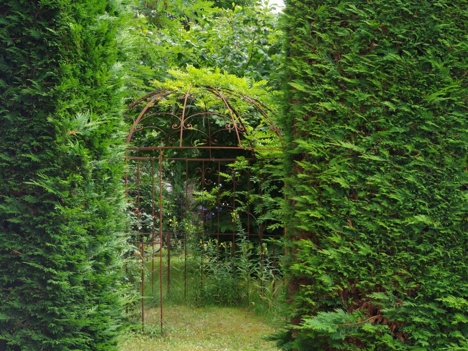 Le Sous Bois Poitou-Charentes - Saint-Pierre-d'Oléron visuel 3/11 Le Sous Bois Poitou-Charentes - Saint-Pierre-d'Oléron visuel 3/11