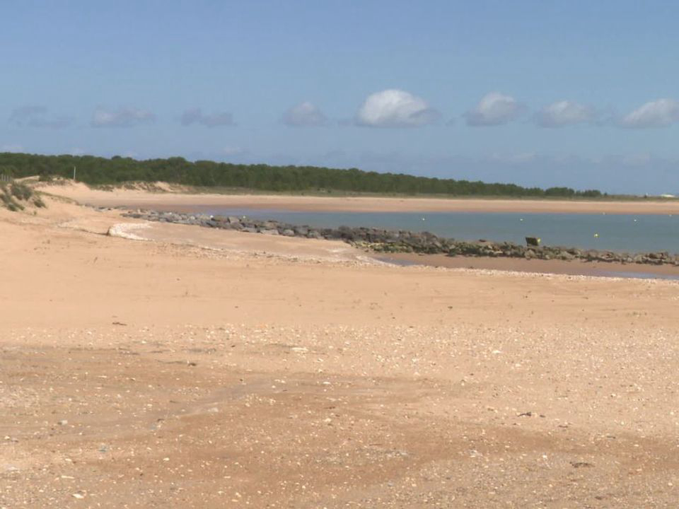 Le Sous Bois Poitou-Charentes - Saint-Pierre-d'Oléron visuel 11/11 Le Sous Bois Poitou-Charentes - Saint-Pierre-d'Oléron visuel 11/11