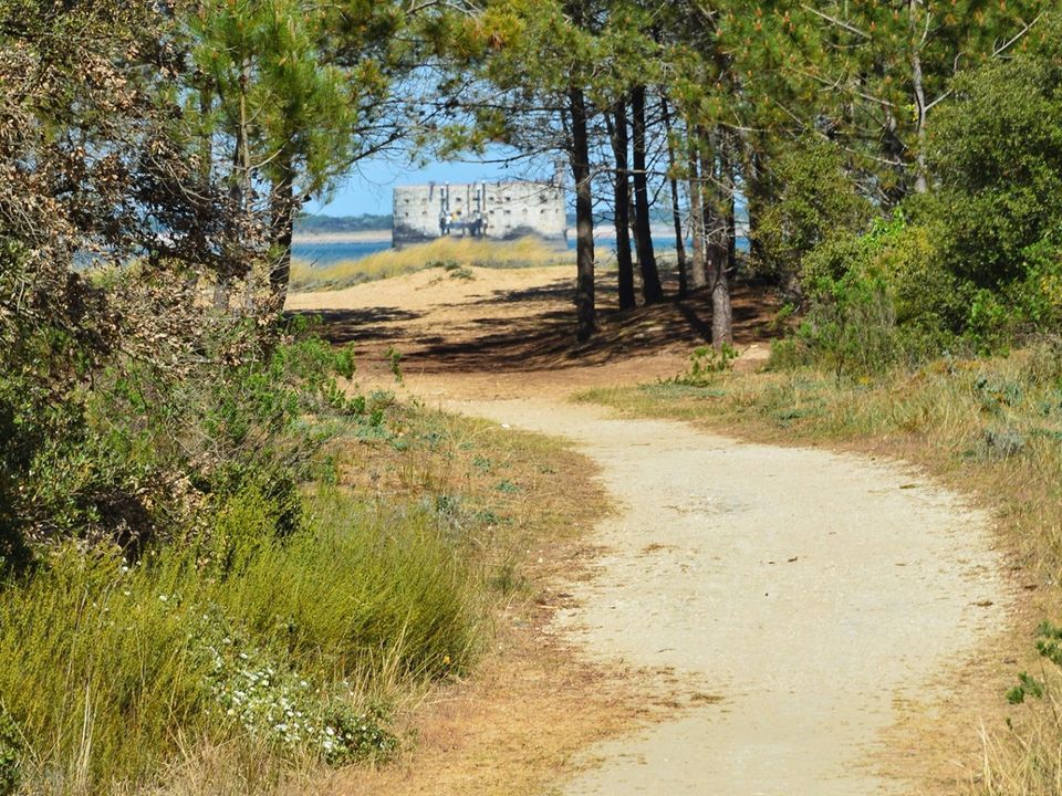 Le Sous Bois Poitou-Charentes - Saint-Pierre-d'Oléron visuel 10/11 Le Sous Bois Poitou-Charentes - Saint-Pierre-d'Oléron visuel 10/11