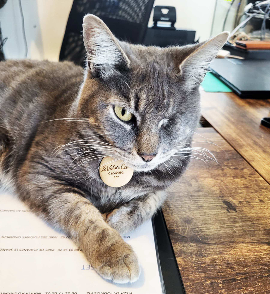 Le Val de Cesse Languedoc-Rosellón - Mirepeisset visuel 23/25