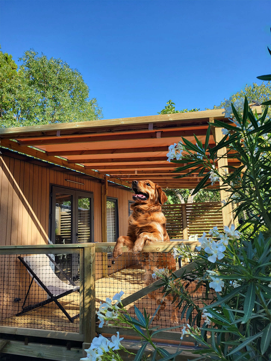 Le Val de Cesse Languedoc-Rosellón - Mirepeisset visuel 22/25