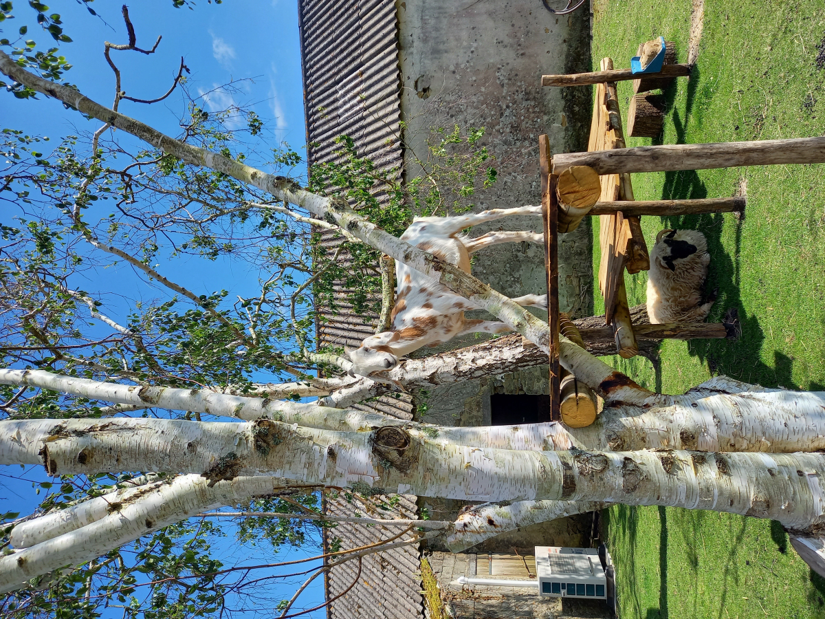 Le Vieux Verger-Ty Noul Bretaña - Névez visuel 5/6