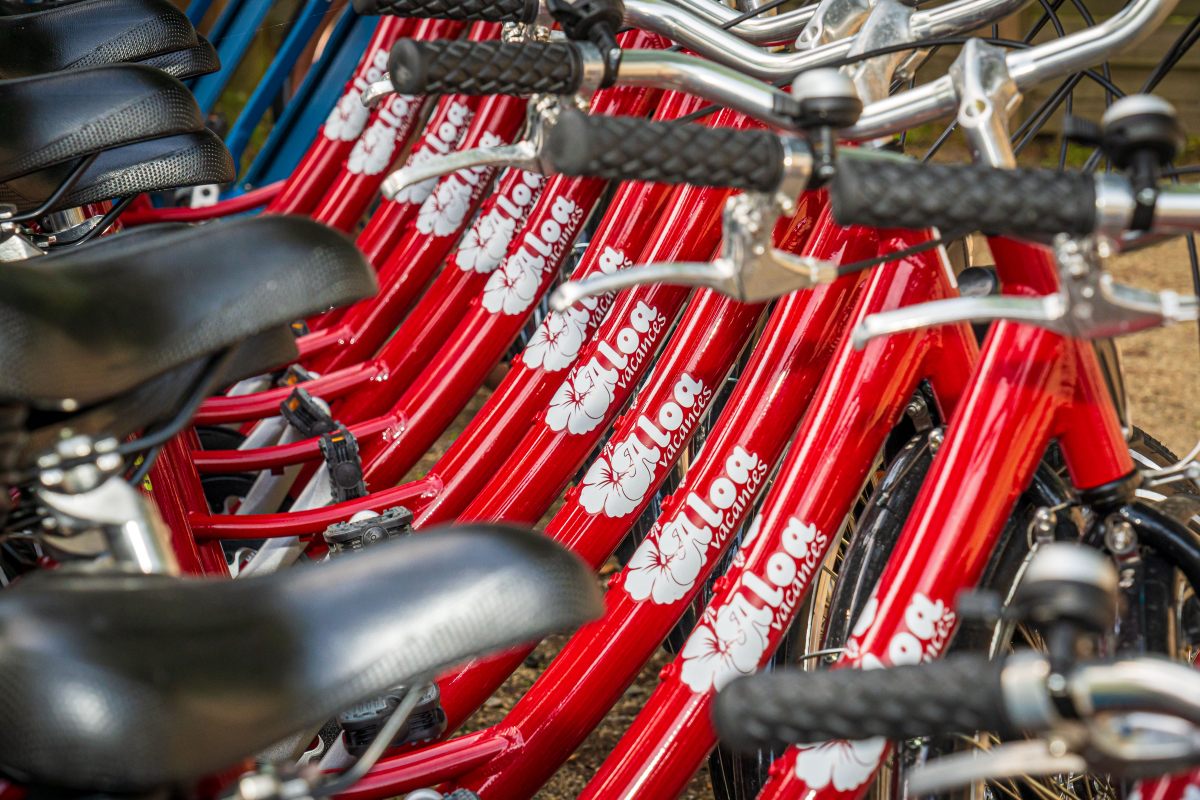 Les Ajoncs d'Or Países del Loira - La Baule-Escoublac visuel 40/42