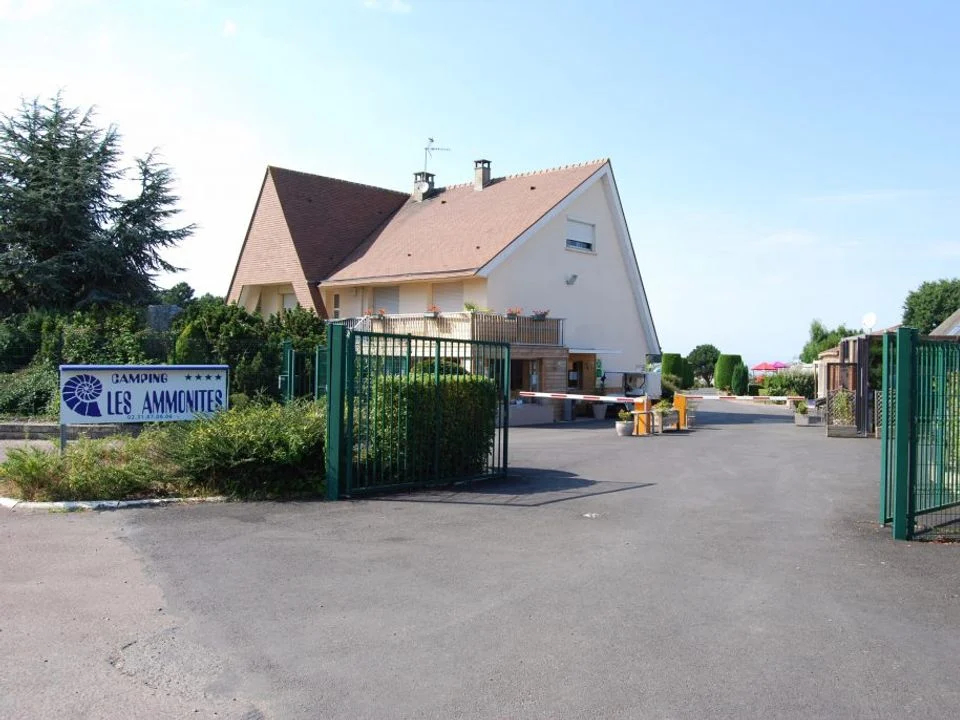 Les Ammonites Baja Normandía - Auberville visuel 3/5 Les Ammonites Baja Normandía - Auberville visuel 3/5