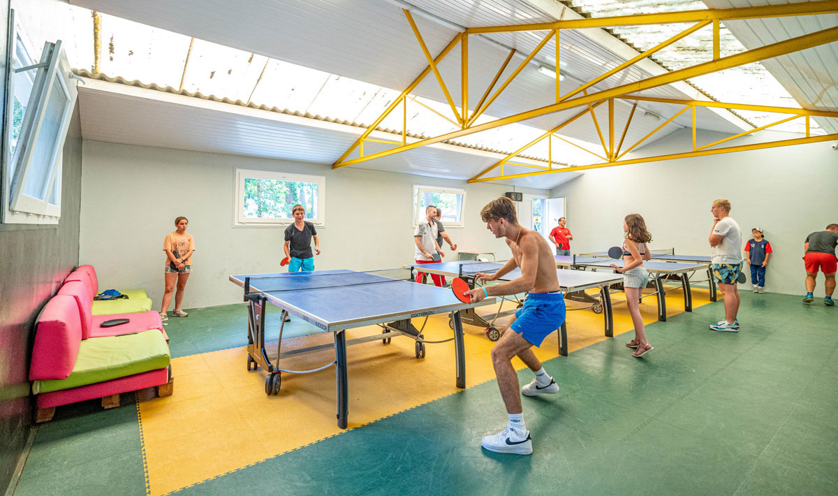 Les Biches Países del Loira - Saint-Hilaire-de-Riez visuel 17/35 Les Biches Países del Loira - Saint-Hilaire-de-Riez visuel 17/35