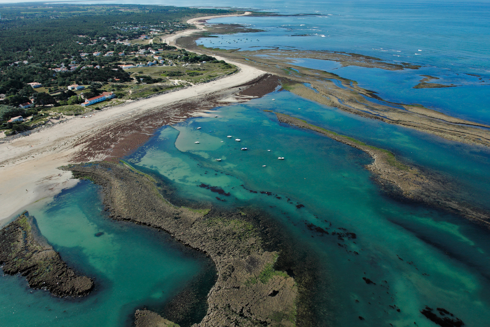 Les Cabanes d'Oléron Poitou-Charentes - Saint-Georges-d'Oléron visuel 2/2 Les Cabanes d'Oléron Poitou-Charentes - Saint-Georges-d'Oléron visuel 2/2