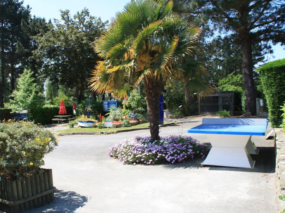 Les Capucines Bretaña - Trédrez-Locquémeau visuel 6/15 Les Capucines Bretaña - Trédrez-Locquémeau visuel 6/15