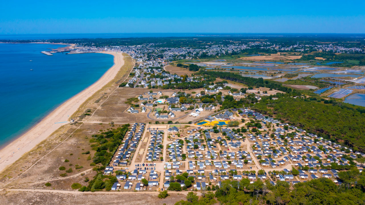 Les Chardons Bleus Países del Loira - La Turballe visuel 12/28 Les Chardons Bleus Países del Loira - La Turballe visuel 12/28