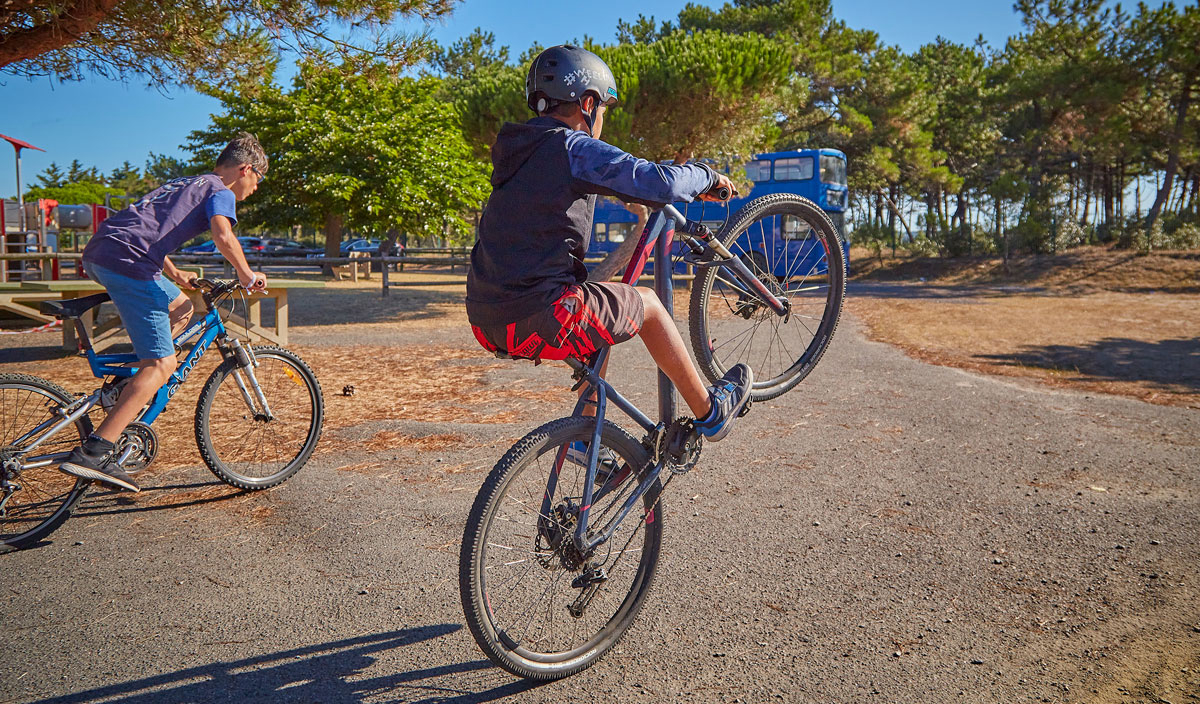 Les Chardons Bleus Países del Loira - La Turballe visuel 26/28 Les Chardons Bleus Países del Loira - La Turballe visuel 26/28