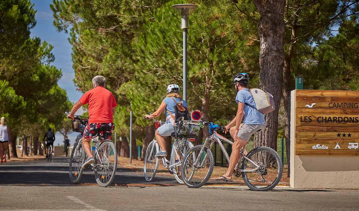 Les Chardons Bleus Países del Loira - La Turballe visuel 18/28 Les Chardons Bleus Países del Loira - La Turballe visuel 18/28