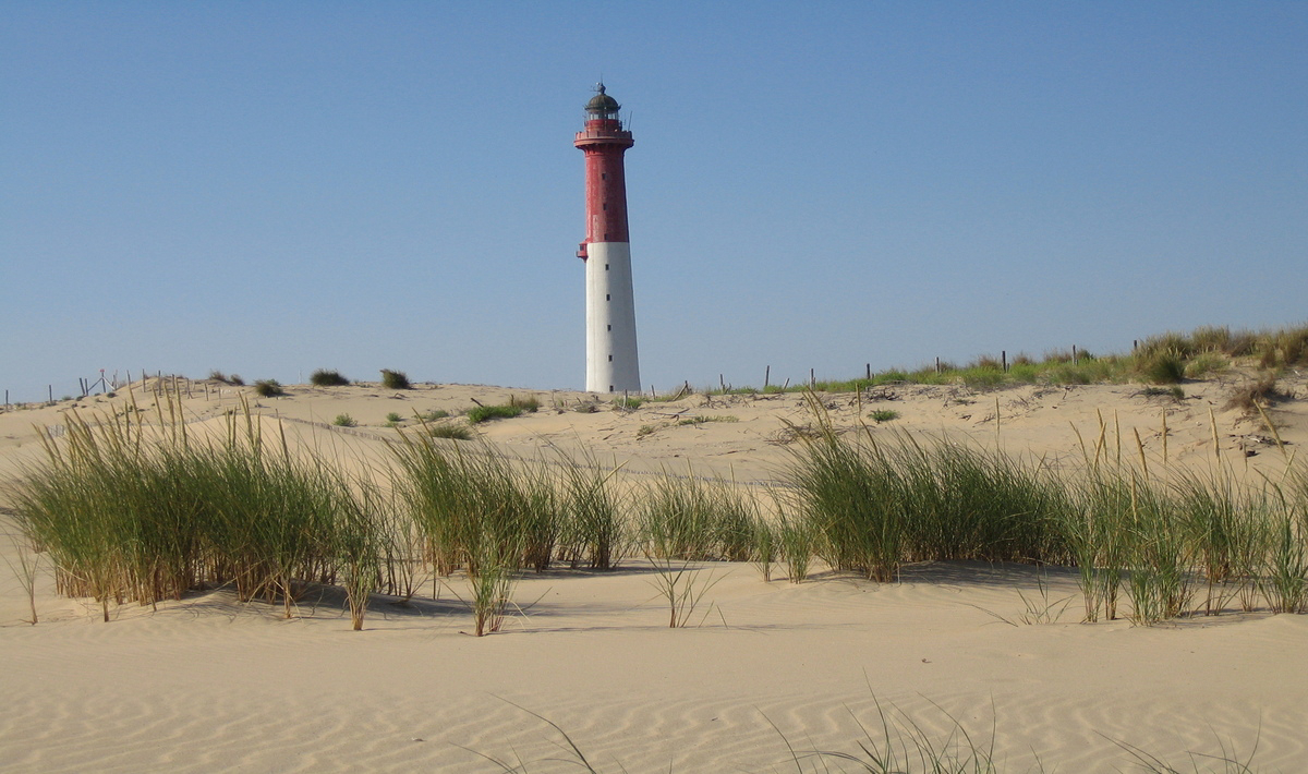 Les Charmettes Poitou-Charentes - Les Mathes-La Palmyre visuel 22/22