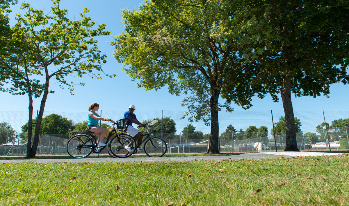 Les Charmettes Poitou-Charentes - Les Mathes-La Palmyre visuel 11/22